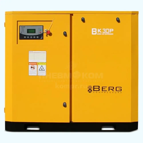 Винтовой компрессор Berg ВК-30Р-E 16 (IP54) характеристики ✔️ описание